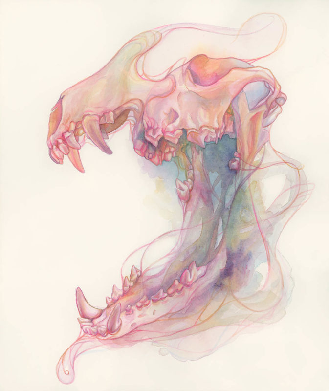 A watercolor coyote skull painted in vibrant, lollipop pinks, purples, and oranges, that melts into watercolor washes and reforms in the lower jaw. The skull is connected to itself by thin, flowing pink threads that weave in and out of the watercolor ether.