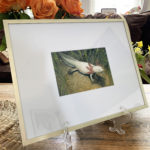 "Axolotl" -- by Danny Schwartz