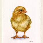 'Chick Study 2' by Natee Puttapipat