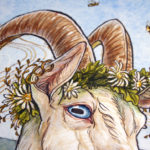 Zoomed in Detail Photo of Goat's head