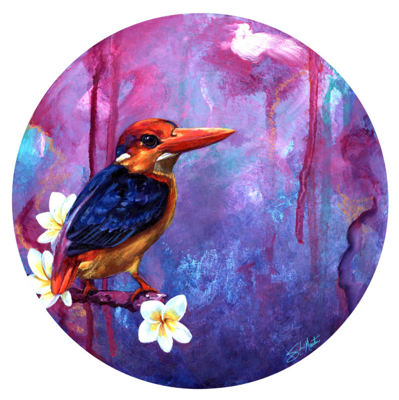 "Oriental Pygmy Kingfisher" - by Corina St. Martin