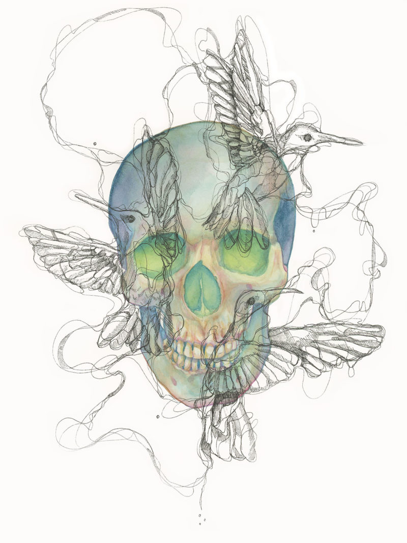 This is an image of a blue watercolor skull painting that has glowing green eyes. The skull is a darker blue around the edges and gradually gets lighter and warmer around the eye sockets and nasal cavity, with a rusty orange mixing in the cooler colors. The is an overlay of three ink hummingbirds drawn in a scribbly fashion directly over the skull. The hummingbirds are connected with tangled ink linework that guides the eye around the piece.