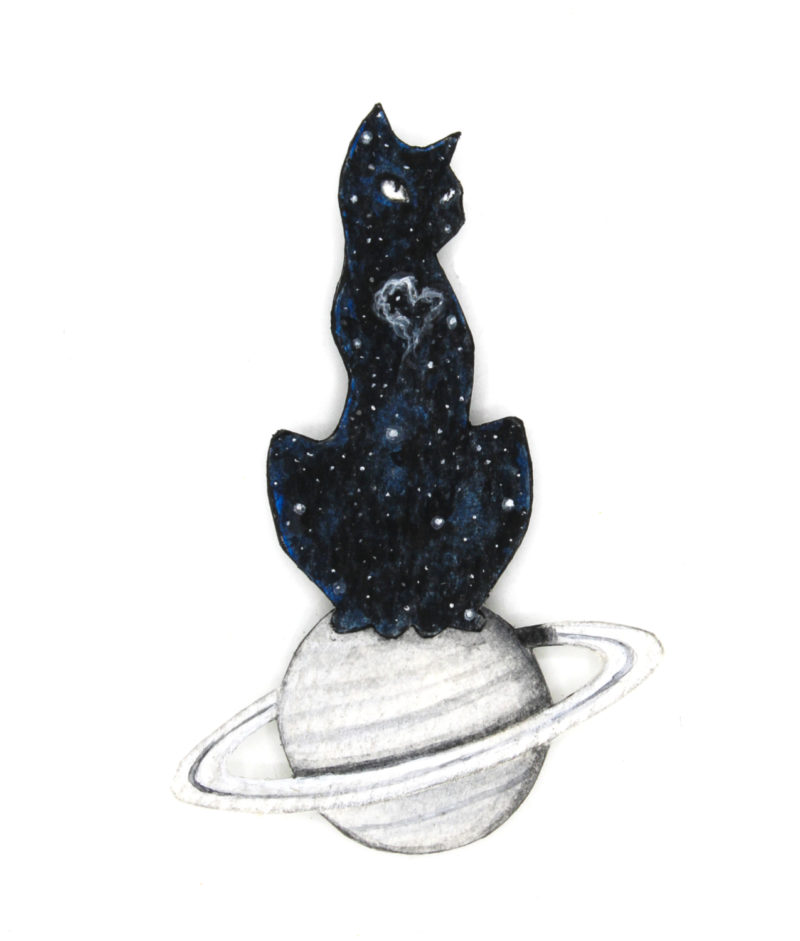 Cosmic Cat: Magic Carpet Ride, cat detail