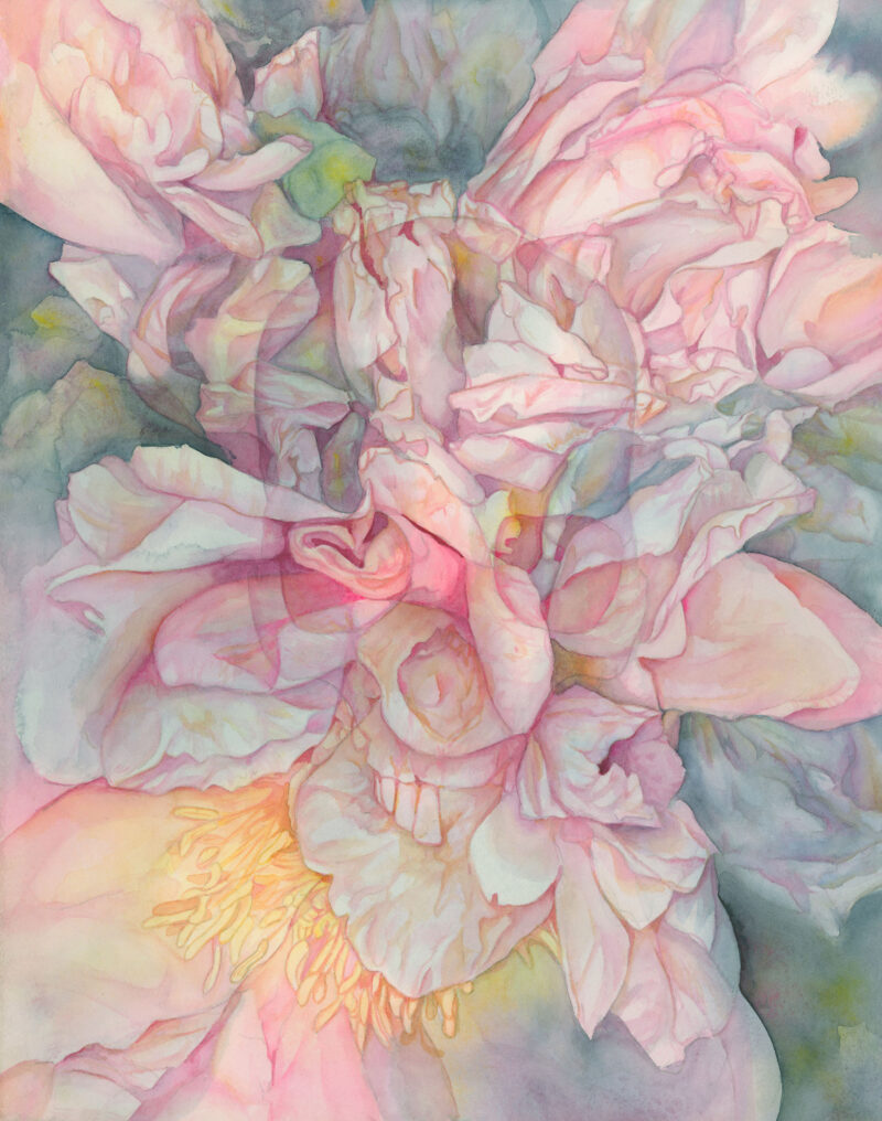 Pictured is a watercolor painting of a close up of peony flowers. The flowers are messy and complicated but still beautiful and painted in cool pink tones for the brighter areas and fading into deep blue-greys for the darker areas. In the center of the painting there is an image of a skull overlayed on the flowers as if a ghostly pink skull was a part of this lush beauty.