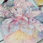 Pictured is a watercolor painting of a close up of peony flowers. The flowers are messy and complicated but still beautiful and painted in cool pink tones for the brighter areas and fading into deep blue-greys for the darker areas. In the center of the painting there is an image of a skull overlayed on the flowers as if a ghostly pink skull was a part of this lush beauty.