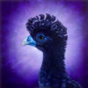 "Blue-billed Curassow" by Erica Lyn Schmidt