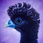 "Blue-billed Curassow" by Erica Lyn Schmidt