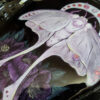 'Midnight Moth' by Tia Kinsman