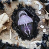 'Midnight Moth' by Tia Kinsman