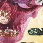 close up of a lemur skull study in oil