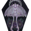 'Midnight Moth' by Tia Kinsman