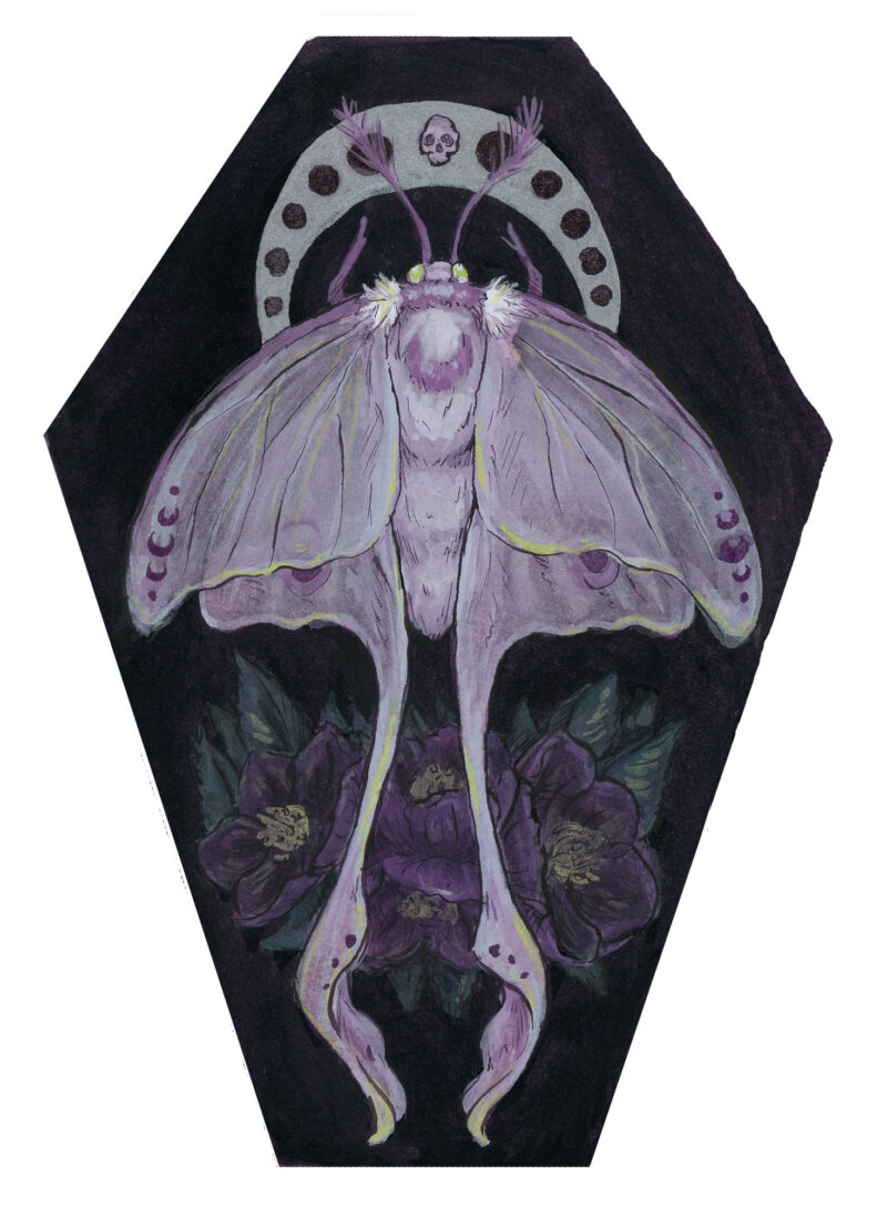 'Midnight Moth' by Tia Kinsman