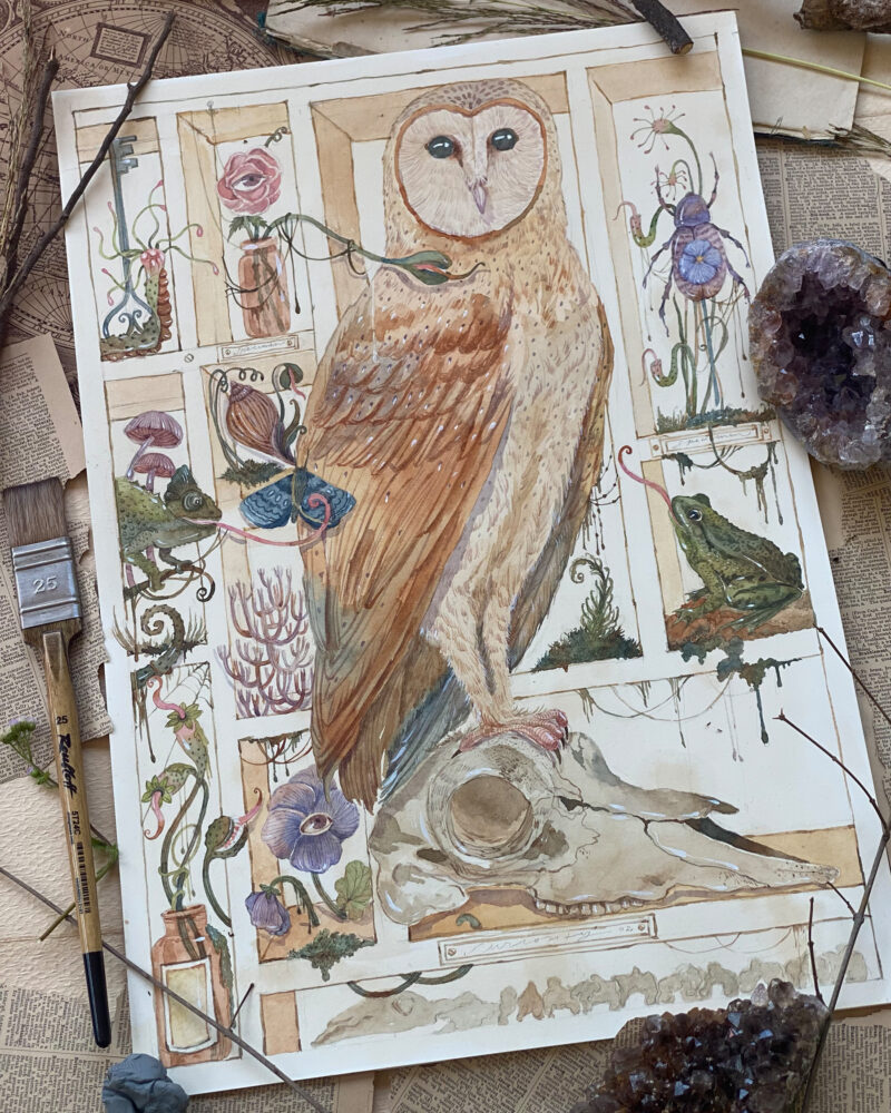 Watercolor- The Curiosity Cabinet- The owl