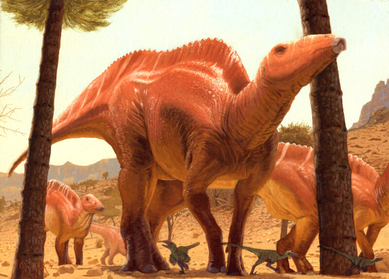 Shantungosaurus by Owen William Weber