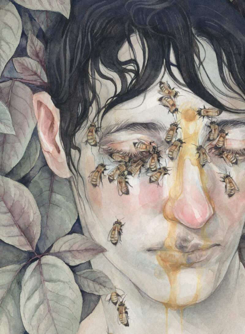 Detail of a watercolor portrait in muted tones of a boy with black hair. His eyes are cast downward; bees climb on his collarbones, neck, eyes, and forehead. Honey drips from his forehead down his face. Leaves fill the background.