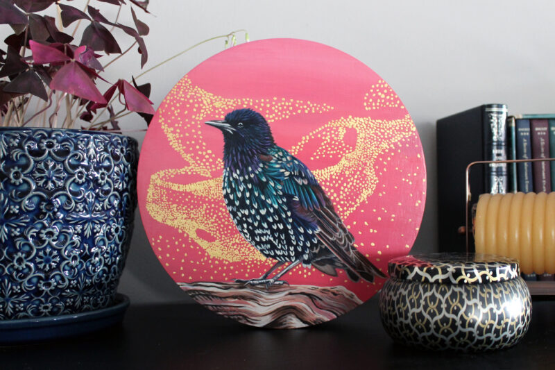 Starling Painting on Shelf