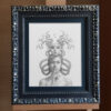 Whisper-Catcher-frame