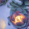 Blanketed Candles - Image 4