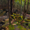 The Golden Path, Buffam Falls Final