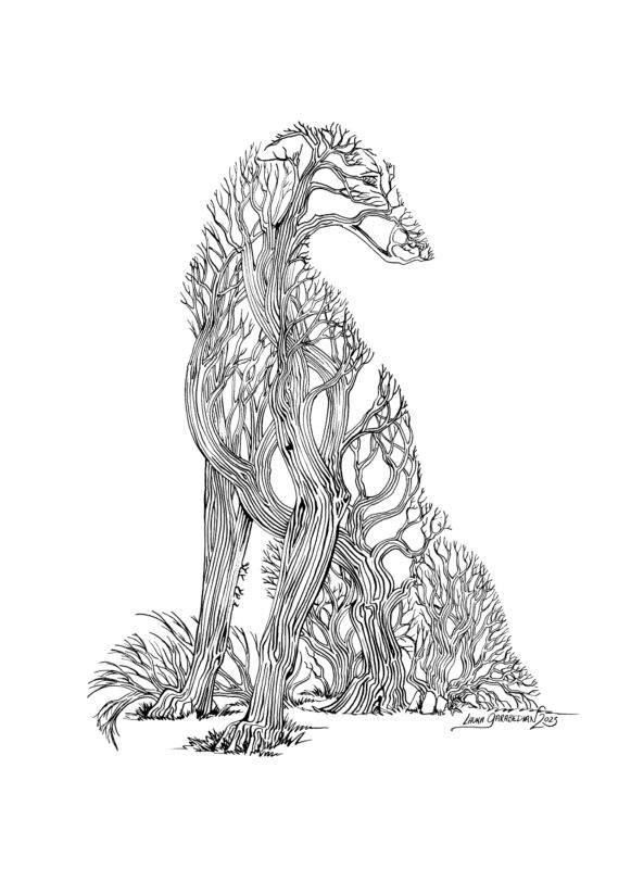 "Barczoi" by Laura Garabedian