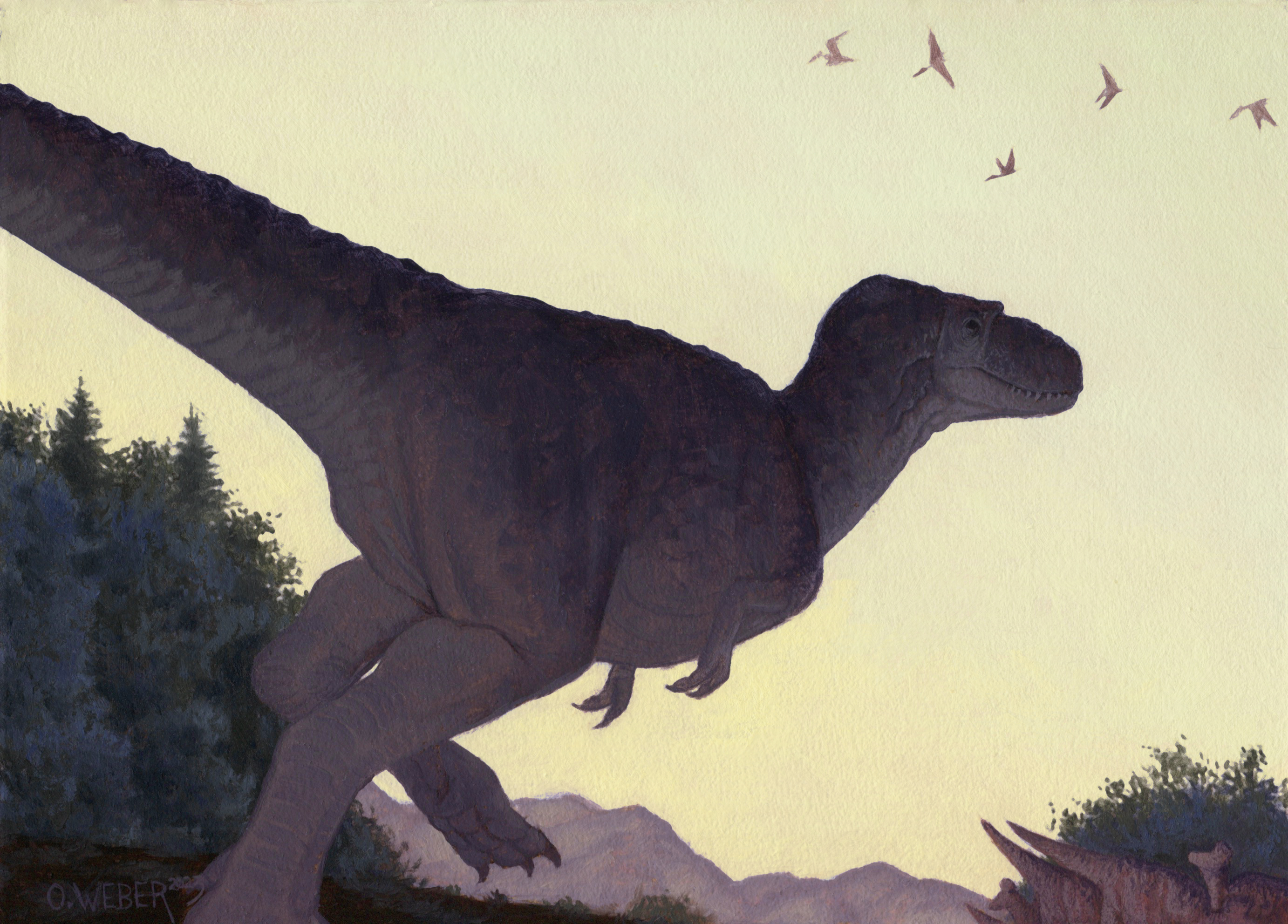 Gorgosaurus by Owen William Weber