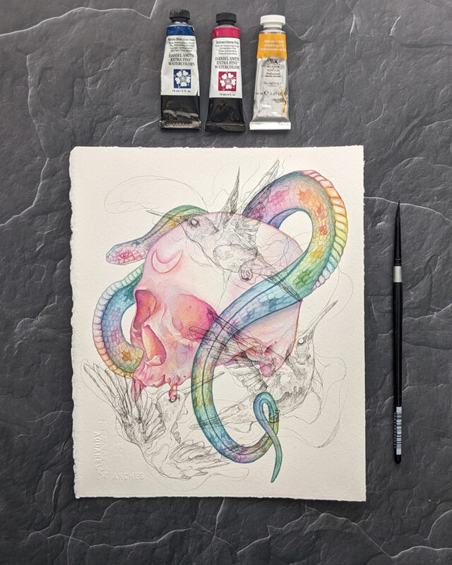 A watercolor painting of a rainbow snake wrapping around a human skull. There are sketchy ink humming birds overlaying the painting.