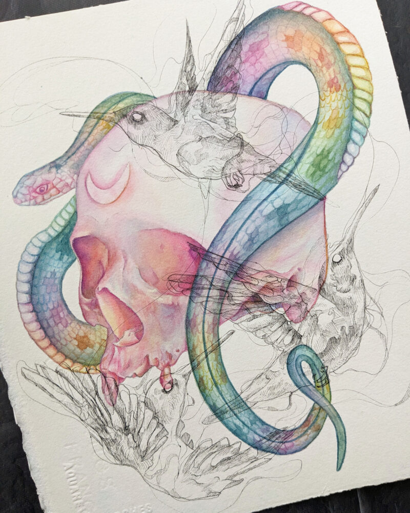 A watercolor painting of a rainbow snake wrapping around a human skull. There are sketchy ink humming birds overlaying the painting.