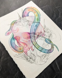 A watercolor painting of a rainbow snake wrapping around a human skull. There are sketchy ink humming birds overlaying the painting.