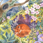 "Home" by Ania Mohrbacher