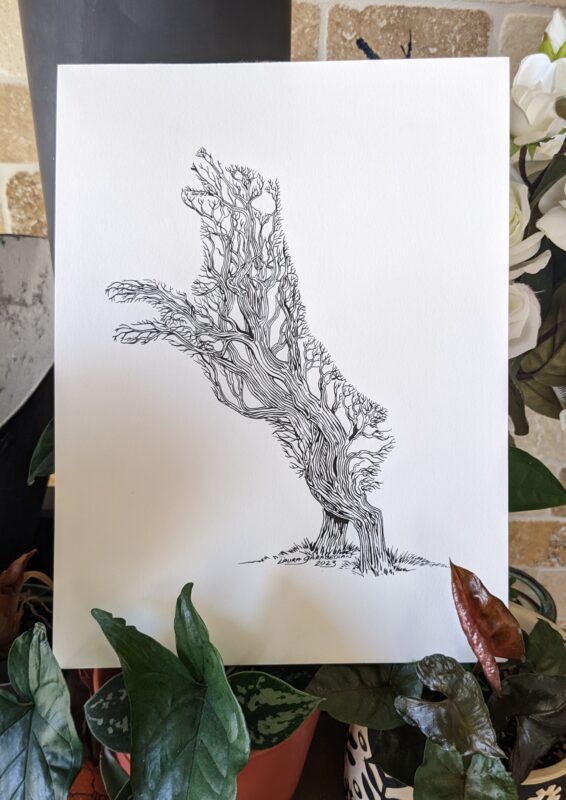 "Aussie-Tree" by Laura Garabedian