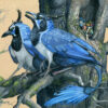 Forest Thieves