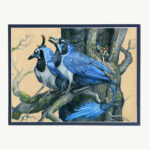 Forest Thieves - Matted