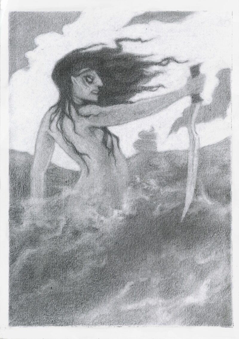 An image of a mermaid half out of the water, holding a sword aggressively. On the horizon a sailing ship is visible.