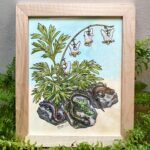 Columbia Crew by Emily Poole