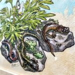 Columbia Crew by Emily Poole