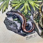 Columbia Crew by Emily Poole