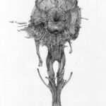 Allen Williams_Diadema