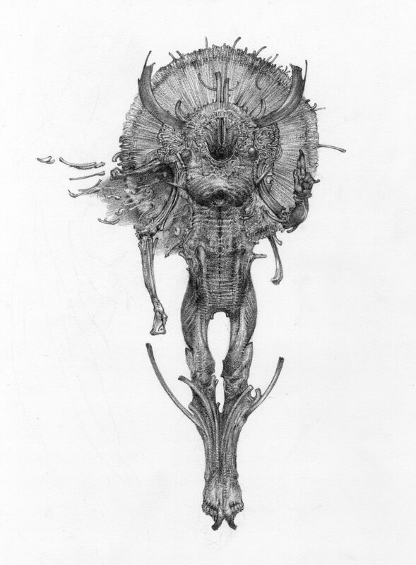 Allen Williams_Diadema