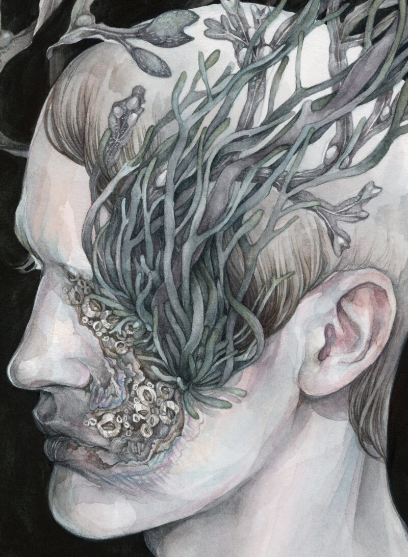 Detail - Left facing profile portrait of a pale person against a black background. Craggy shell-like textures layer their face from the corner of their mouth up to their eye socket. Barnacles are in the crags. Their eye is obscured by clumps of tealish-gray seaweed growing out of their face; more seaweed floats around their head.