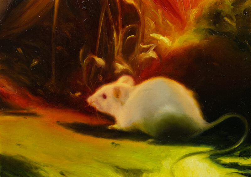 An oil painting of a small mouse as they overlook a cluster of golden flora. They are surrounded by a strongly luminescent body of water, reflecting it’s light throughout the piece.