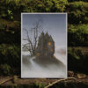 Mossperch House - Image 2