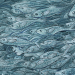 Lost in the Fishes