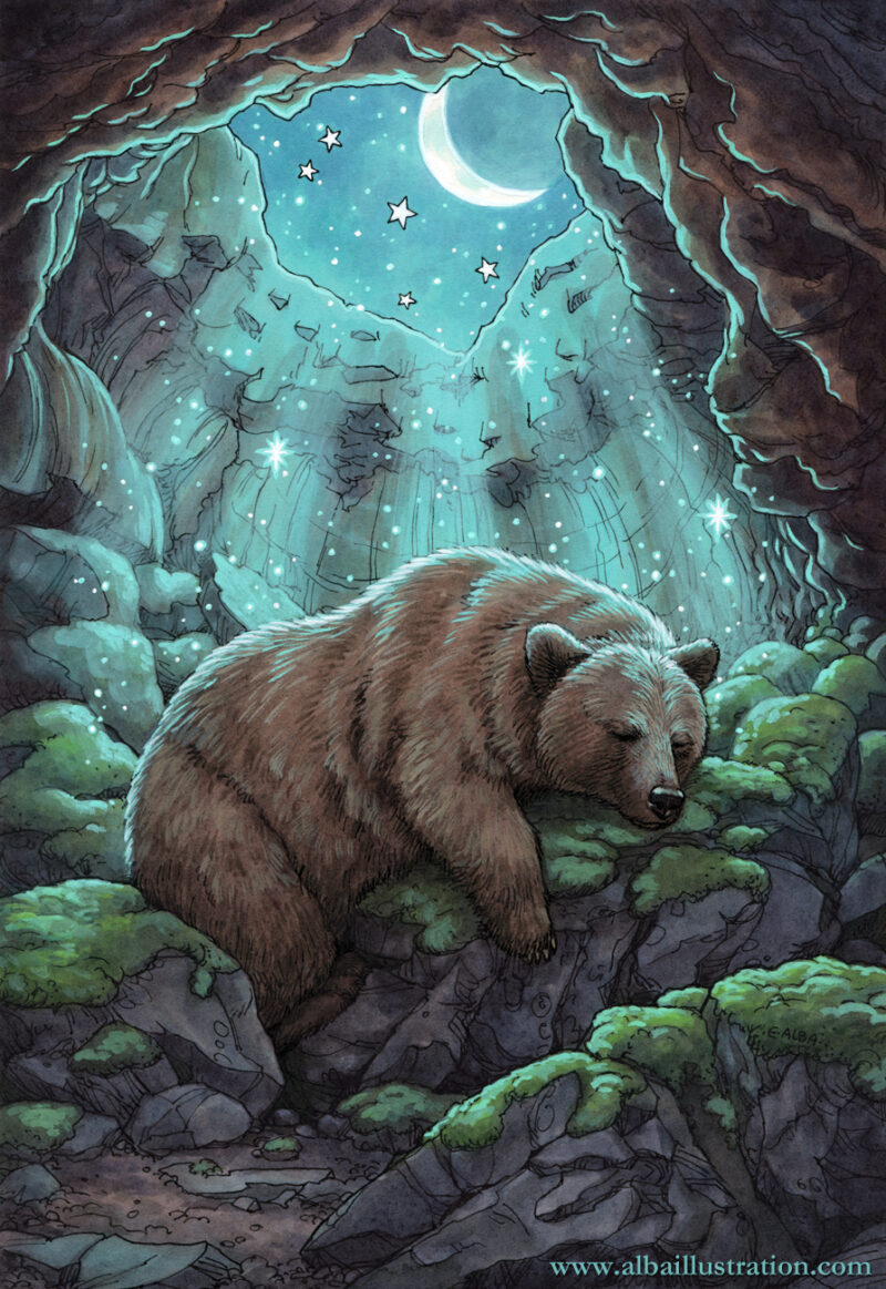 Ink and watercolor illustration of a brown bear sleeping peacefully inside a cave with a crescent moon and stars overhead.
