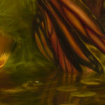 A close up of an oil painting of a small fairy wading through a marsh surrounded by Venus fly traps. She is looking over her shoulder, glowing. This image zooms in on her wings, and their reflection in the water.