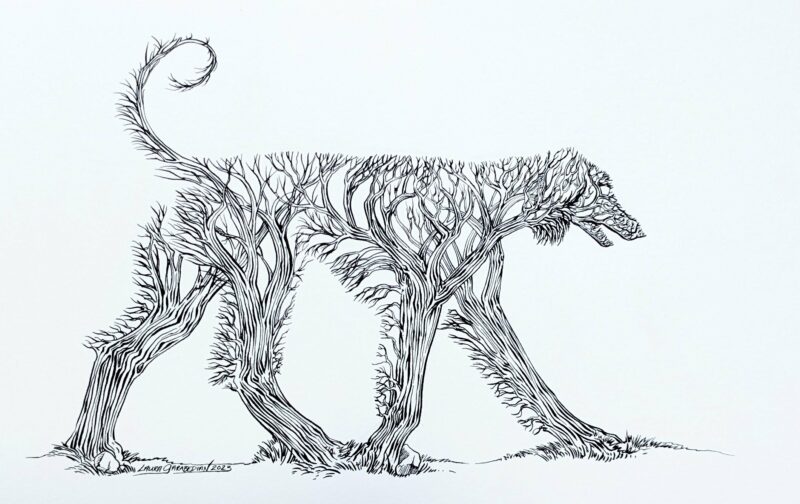 ink drawing of an afghan hound silhouette made of a bunch of trees in a forest