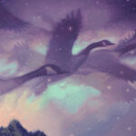 Night Migration by Rob Rey