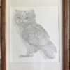 Pumpkin The Meowl - Image 3