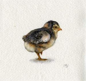 "Khadi Paper Chick" by Natee
