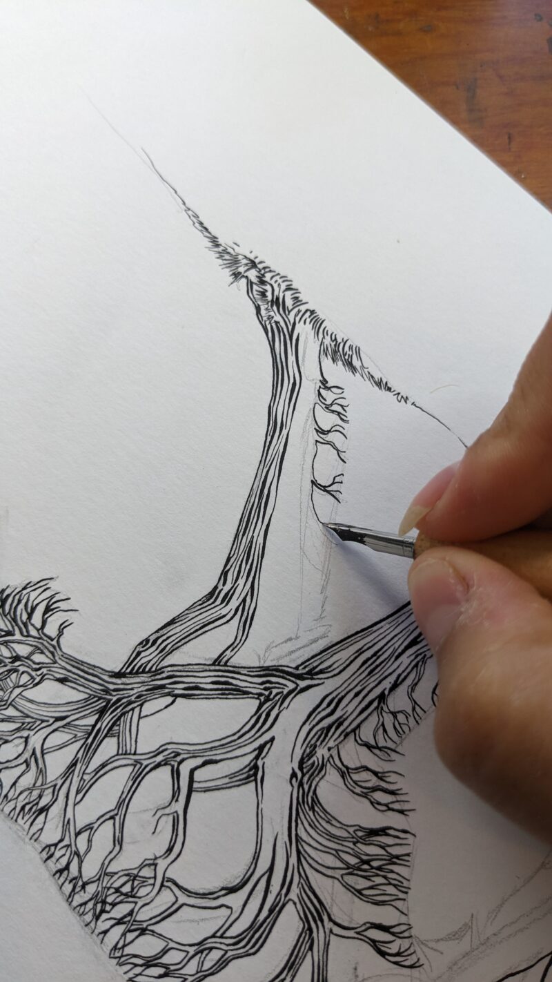 process photo of ink drawing of an afghan hound silhouette made of a bunch of trees in a forest