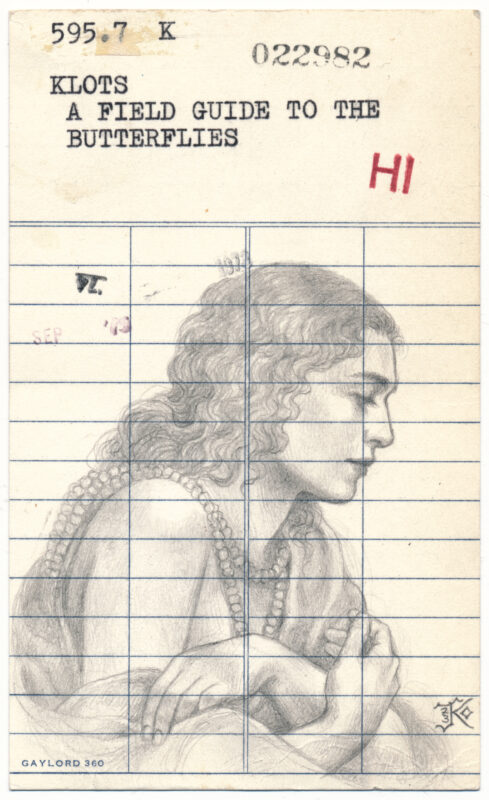 "A Field Guide to the Butterflies" by Kaysha Siemens